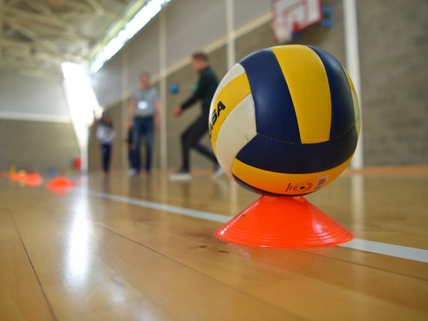 image of a ball in a sports hall