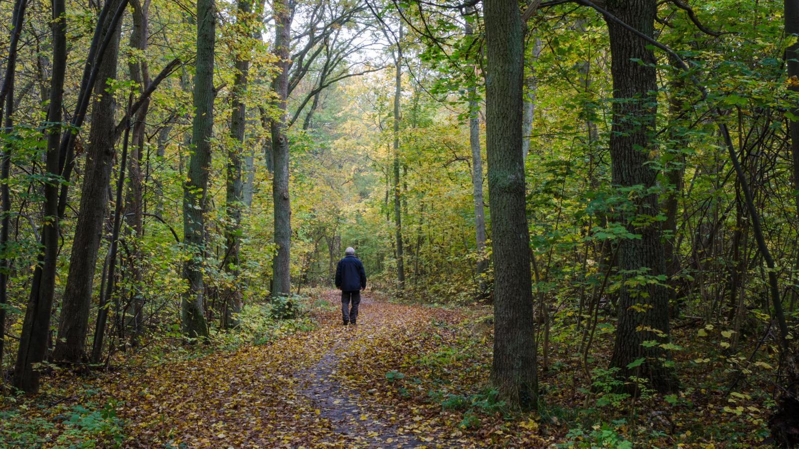 Your Personal Best walking 5