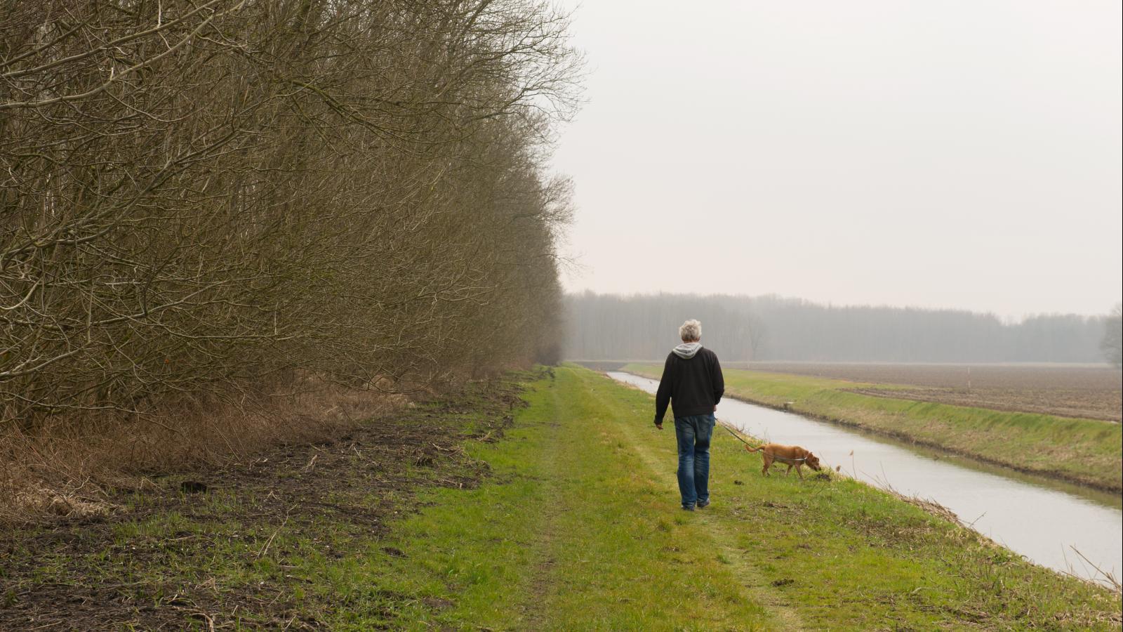 Your Personal Best Walking 4